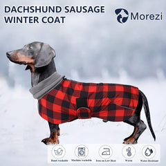 Manteau Morezi pour teckel imperméable, vue arrière, ajustement sûr pour l'hiver.