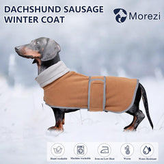 Manteau Morezi pour teckel, liseret réfléchissant améliore la visibilité nocturne.