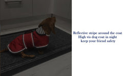 Trou pour harnais sur Morezi, manteau imperméable facile à enfiler pour chien.
