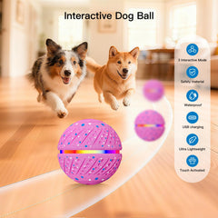 Morhandisn Balle interactive rebondissante pour chien, jeux de poursuite
