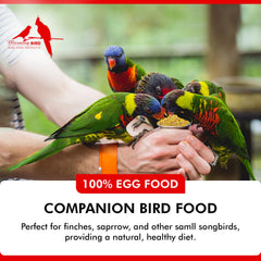 Morning Bird Eggfood humidifiee: texture tendre pour l ingestion.