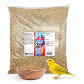 Morning Bird Graines de canari – nutrition riche pour oiseaux actifs