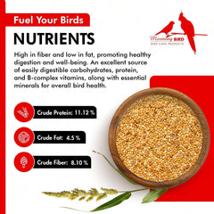 Morning Bird Millet doré doseur intégré, mesure précise pour ration quotidienne.