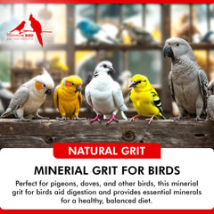 Morning Bird Pigeon Grit montre le pigeon mangeant le grit lors d'un repas.