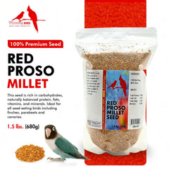Morning Bird Millet Rouge Proso grains — grains savoureux pour énergie et croissance.
