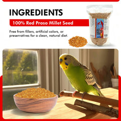 Morning Bird Millet Rouge Proso pinsons — parfait pour les pinsons et autres petits oiseaux.