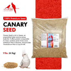 Morning Bird Protéines 13% – soutien musculaire des oiseaux