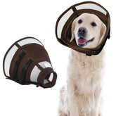 MORVIGIVE collier é lisabéthain grand chien, vue avant; protection postopératoire.