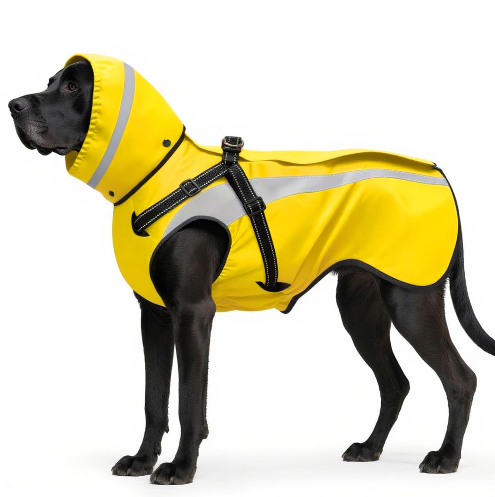 Mosucoirl imperméable pour chien jaune avec capuche, protection contre la pluie