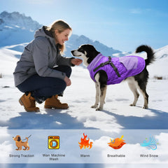 Mosucoirl manteau chien violet XXL, harnais amovible pour attacher facilement la laisse.