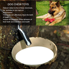 Motusamare jouet dentaire pour grands chiens, durable et rassasiant.