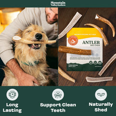 Mountain Valley Antlers sans odeur, pratique en intérieur sans nuisance.