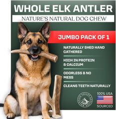 Mountain Valley Antlers emballage montrant le produit naturel sans odeur pour chiens.