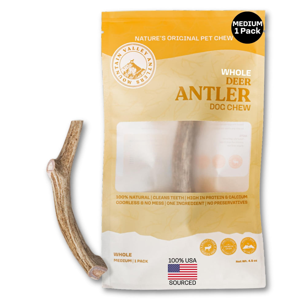Mountain Valley ramure de cerf – jouet à mâcher durable pour chiens actifs.