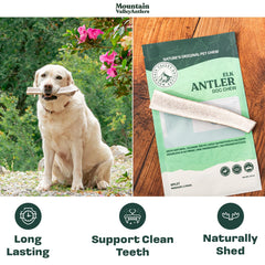 Mountain Valley ramures elan pour chiens – taille large adaptée aux grands chiens