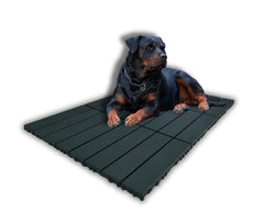 MRHN dalles cage chien ensemble 12x12: surface durable et stable pour le chenil.