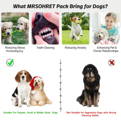 Clochette d'entraînement pour chien par MRSOHRET, facilite l'apprentissage des habitudes.