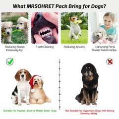 Jouet dentaire en caoutchouc pour chiots MRSOHRET, stimule dents et gencives.