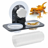 MRTIOO rebord alimentation gecko a crête fixation adhesif fiable sur vitre.