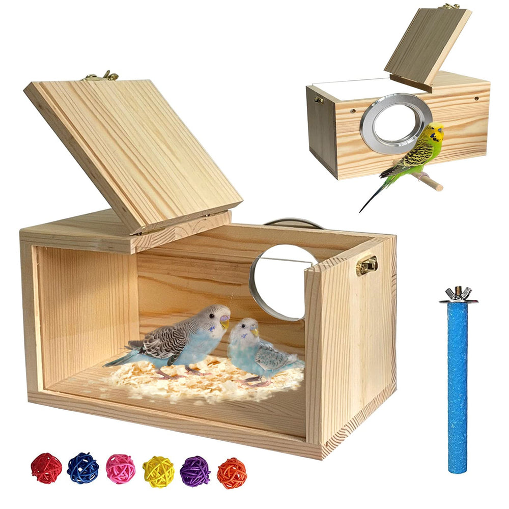 MUYG boîte-nid perruche transparente, vue générale pour observer les oiseaux sans déranger.