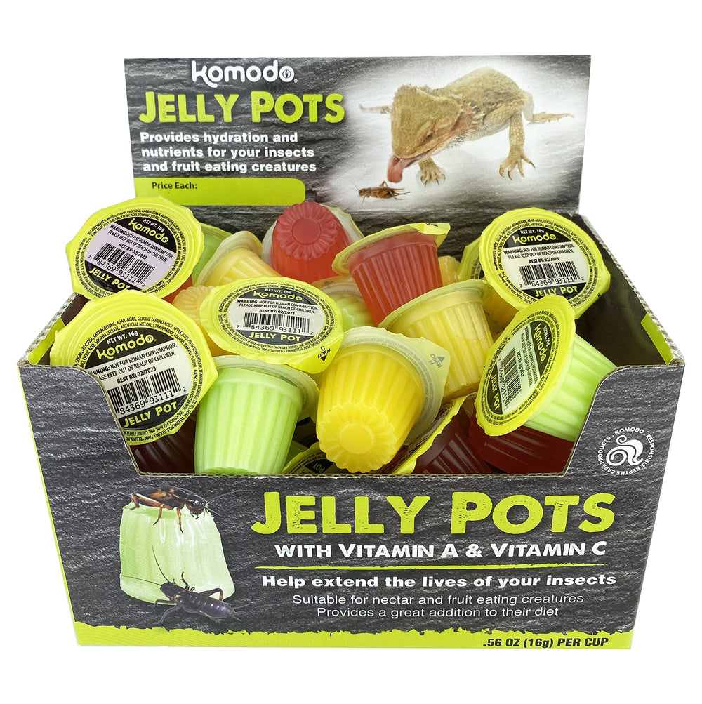 Gelée Komodo Multipet au fruit fraise, hydratation pratique pour les insectes nourrissants.