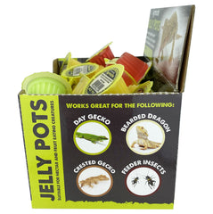 Gelée Komodo Multipet fruit melon, option pratique pour nourrir les geckos.