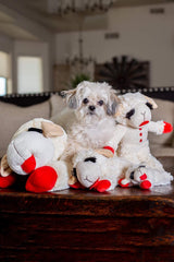 Sifflet intégré dans Lamb Chop pour stimulation et jeu interactif.