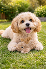 Multipet Thumperz, peluche rembourrée, texture douce à porter.