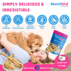 Munchbird Lamb Trotter – soin dentaire potentiel par mastication régulière