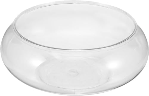 Bocal Musaner bulle ronde transparente pour poissons et plantes décoratives.