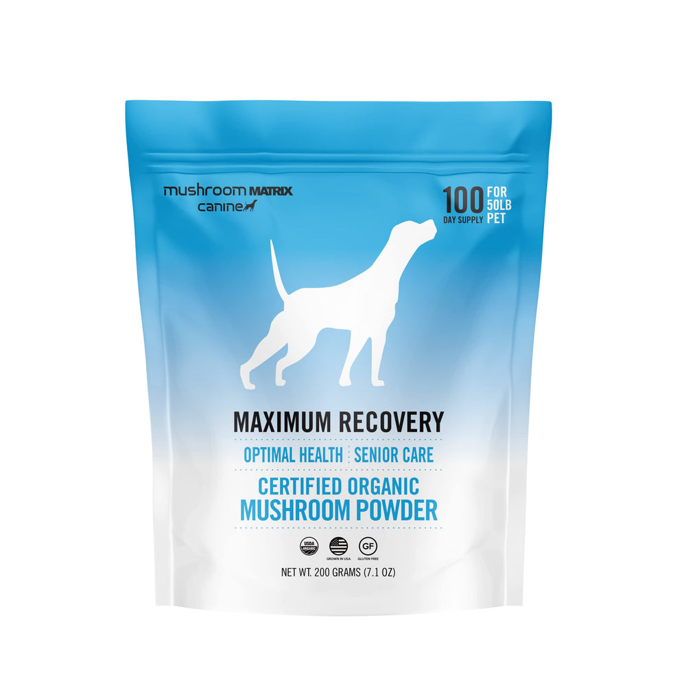 Om Mushroom Matrix: poudre pour chiens et chats, soutien quotidien au bien‑être