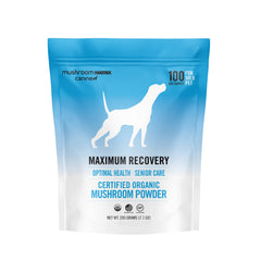 Om Mushroom Matrix: poudre pour chiens et chats, soutien quotidien au bien‑être