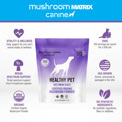 Spatule de dosage Om Mushroom Matrix, préparation pratique pour ajouter le complément.