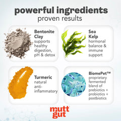 MUTTGUT bouteille – probiotiques chien : soutien potentiel à la flore intestinale et à l’immunité.