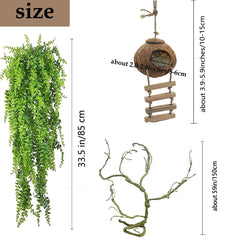 MUYG nid terrarium coquille noix naturelle, abri sûr et confortable.