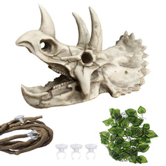 MUYG triceratops résine – crâne décoratif sûr pour terrarium reptiles.