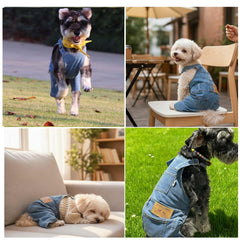 MuYaoPet costume denim chien bleu – style polyvalent pour journées actives
