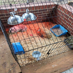 MUYG bac-litiere-lapin-coin-optimise-espace, idéal pour cages compactes.