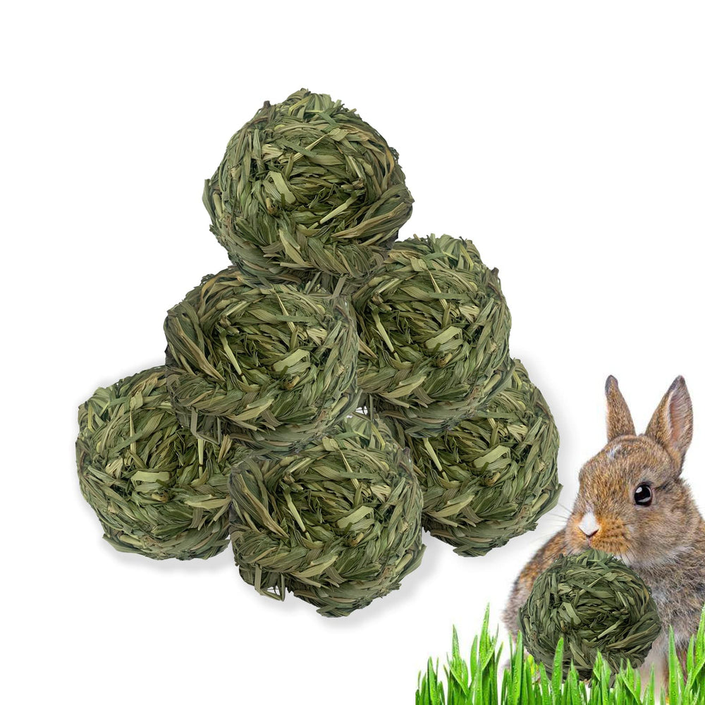 MUYG balle-herbe-timothy: stimulation naturelle de la mastication pour petits animaux.