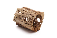 My Pet Patrol bois cholla ourson peluche intérieur extra creux, abri idéal pour l’aquarium.