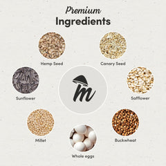 Graines biologiques et non-OGM Mycelium Calopsitte Premier, choix naturel et transparent.