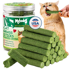 Friandise Myfoodog sticks d'herbe pour chat favorisant la dentition naturelle.