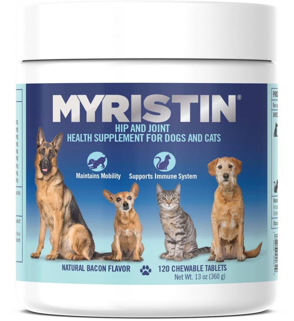Myristin boite de comprimés masticables pour articulations chiens et chats, favorisant la mobilité.
