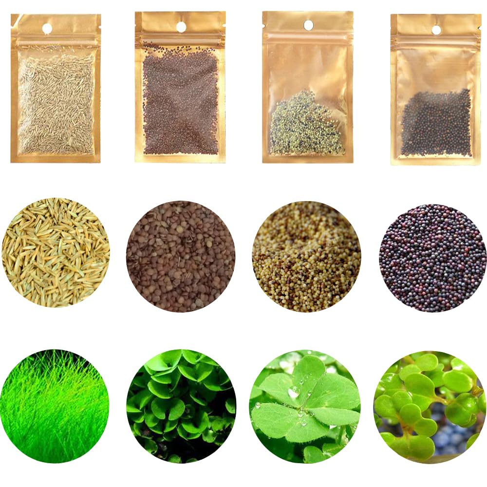 Mysteryhigh S.e.e.d Set – feuilles larges, décor vivant et sûr en aquarium.