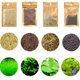 Mysteryhigh S.e.e.d Set – feuilles larges, décor vivant et sûr en aquarium.
