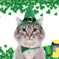 Chapeau Leprechaun vert NAMSAN pour animaux, prêt pour photos festives