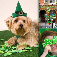 Costume Saint-Patrick NAMSAN pour chat et petit chien, look ludique