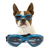 Lunettes NAMSAN chien bleu anti-brume pour une vision claire.