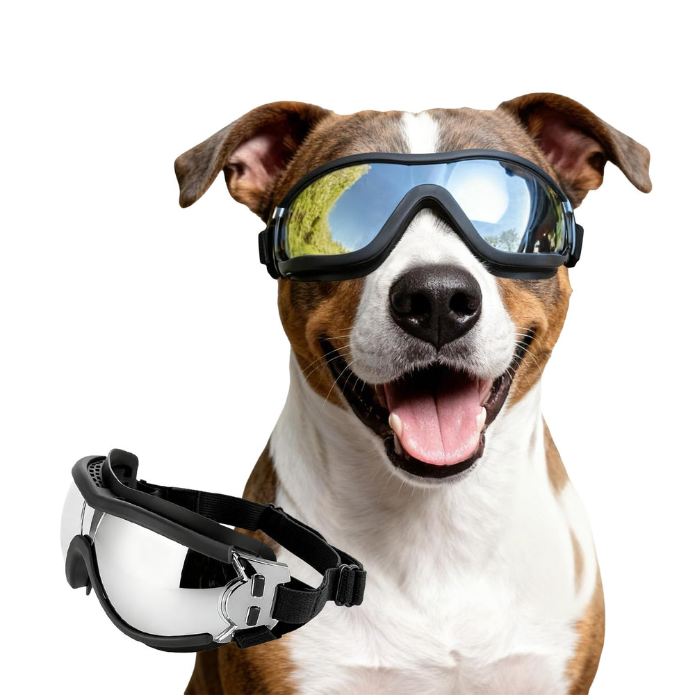 Lunettes NAMSAN anti-UV pour chien, protection solaire efficace.