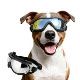 Lunettes NAMSAN anti-UV pour chien, protection solaire efficace.